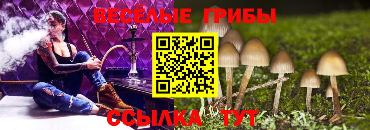 Меф Рязань